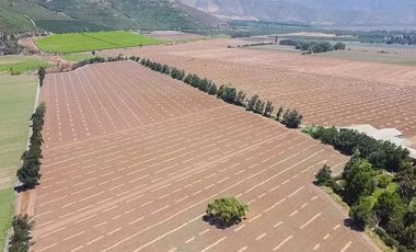 Fundo Agrícola Con Agua Y Bodegas En Venta Catemu