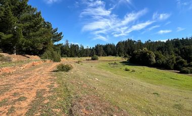 Terreno Lo Gallardo , Pichilemu