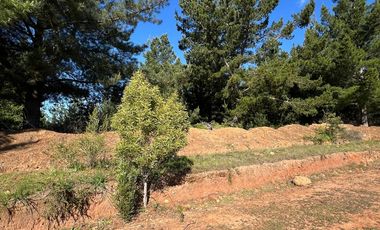 Terreno Lo Gallardo , Pichilemu