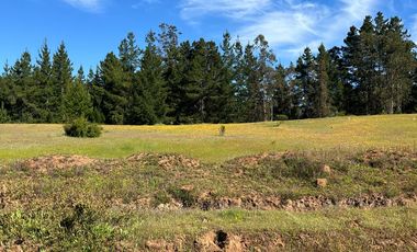 Terreno Lo Gallardo , Pichilemu