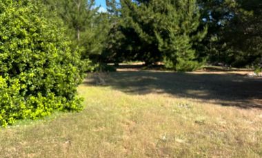 Terreno Lo Gallardo , Pichilemu