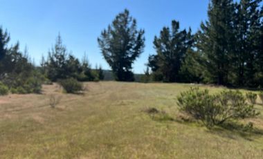 Terreno Lo Gallardo , Pichilemu