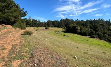 Terreno Lo Gallardo , Pichilemu