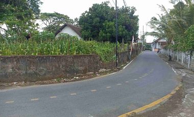 Jual Tanah Bonus Rumah Dekat Malam Bung Karno Blitar