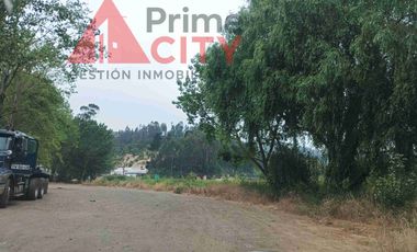 Se Arrienda terreno costado ruta Penco / Concepción