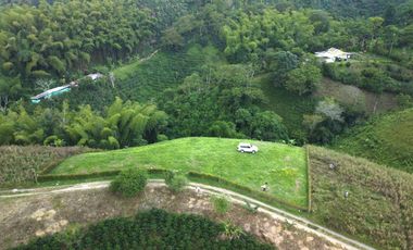 SE VENDE LOTE ENTRE ALCALA Y FILANDIA