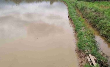 Dijual cepat/murahSawah dengan view gunung di buntu dengen ada pengairan/irigasi dekat jalan raya hanya 75rbu/meter