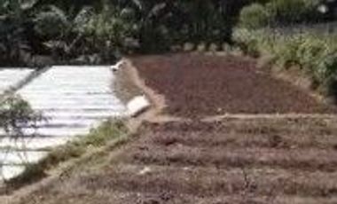 6000 M2 Tanah Kebun Pinggir Jalan Desa, Citatah, Cipatat,Bandung Barat
