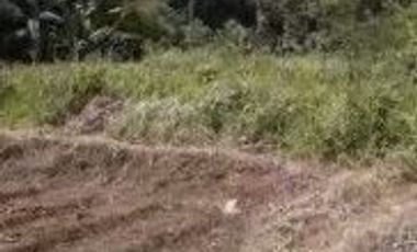 6000 M2 Tanah Kebun Pinggir Jalan Desa, Citatah, Cipatat,Bandung Barat