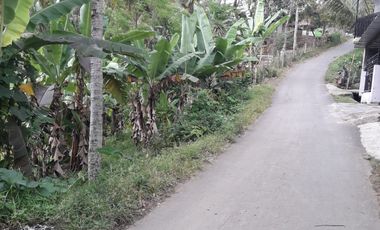 6000 M2 Tanah Kebun Pinggir Jalan Desa, Citatah, Cipatat,Bandung Barat