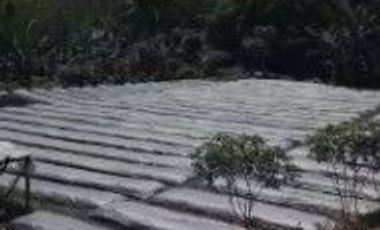 6000 M2 Tanah Kebun Pinggir Jalan Desa, Citatah, Cipatat,Bandung Barat