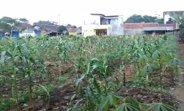 5606 M2 Tanah Kebun Datar & Strategis, Galanggang, Batujajar Bandung Barat