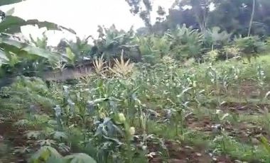 5606 M2 Tanah Kebun Datar & Strategis, Galanggang, Batujajar Bandung Barat