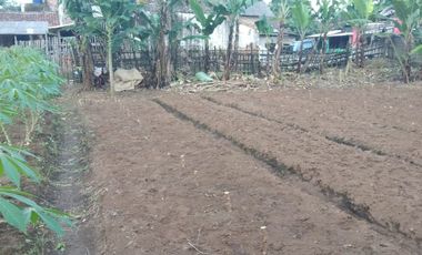 5606 M2 Tanah Kebun Datar & Strategis, Galanggang, Batujajar Bandung Barat