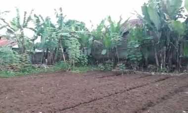 5606 M2 Tanah Kebun Datar & Strategis, Galanggang, Batujajar Bandung Barat