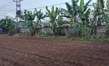 5606 M2 Tanah Kebun Datar & Strategis, Galanggang, Batujajar Bandung Barat