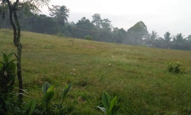 8889 M2 Tanah Datar Dekat Kantor Desa Bojongmekar, Cipeundeuy Bandung Barat