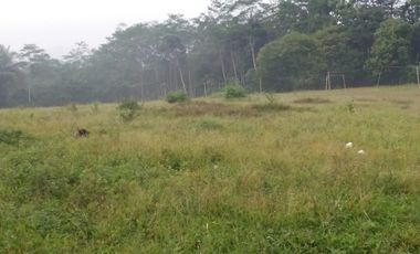 8889 M2 Tanah Datar Dekat Kantor Desa Bojongmekar, Cipeundeuy Bandung Barat