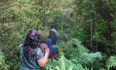 PARCELAS EN OFERTA CON ALTA PLUSVALIA EN LAGO CHAPO - PUERTO MONTT