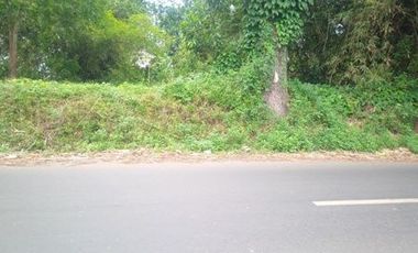 1 Ha Tanah Pinggir Jalan Rende - Cikalong, Cikalong Wetan, Bandung Barat
