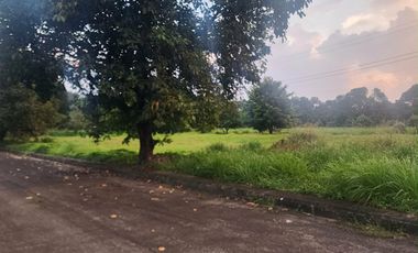 Residential Lot for SALE in Hacienda Royale City of San Fernando near SM Telebastagan.