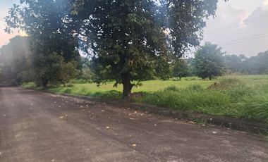 Residential Lot for SALE in Hacienda Royale City of San Fernando near SM Telebastagan.