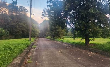 Residential Lot for SALE in Hacienda Royale City of San Fernando near SM Telebastagan.