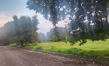 Residential Lot for SALE in Hacienda Royale City of San Fernando Pampanga near SM Telebastagan.