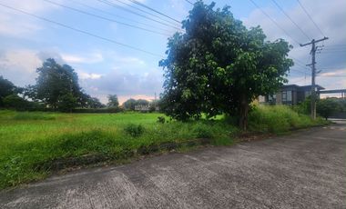 Residential Lot for SALE in Hacienda Royale City of San Fernando Pampanga near SM Telebastagan.