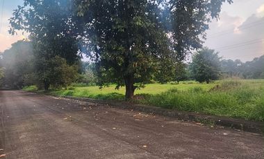 Residential Lot for SALE in Hacienda Royale City of San Fernando Pampanga near SM Telebastagan.