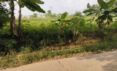 1,2 Ha Tanah Kebun Murah,  Datar & Pinggir Jalan, Cipatat Bandung Barat