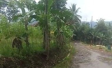 1,2 Ha Tanah Kebun Murah,  Datar & Pinggir Jalan, Cipatat Bandung Barat