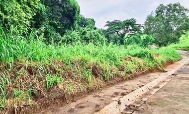 Residential Lot for Sale at Parkridge Estates Subdivision in Antipolo, Rizal