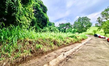 Residential Lot for Sale at Parkridge Estates Subdivision in Antipolo, Rizal