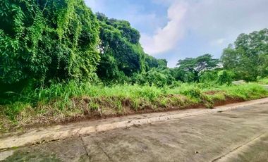 Residential Lot for Sale at Parkridge Estates Subdivision in Antipolo, Rizal
