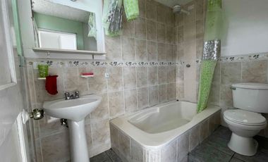 mini Suite en renta en los Rosales