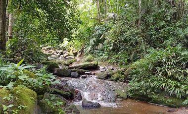 Paraíso autosostenible 15 hectáreas Precio x Ha