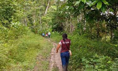 Paraíso autosostenible 15 hectáreas Precio x Ha