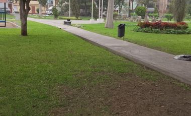 ALQUILO IMPECABLE DEPARTAMENTO 1er PISO  CON COCHERA EN URB SANTA PATRICIA EN EL DISTRITO DE LA MOLINA