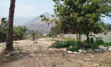 VENTA DE TERRENO EN CHOSICA