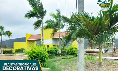 Terrenos desde 160 m² en Olinas del Mar – ¡Entrega Inmediata!