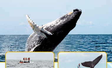 Terrenos en Puerto Cayo Listos para Construir – Alta Plusvalía