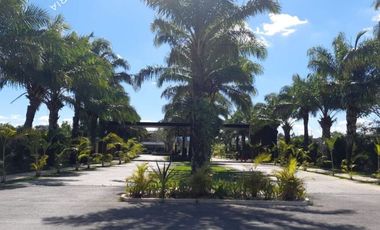 Departamento nuevo en renta con 3 recamaras y amenidades de lujo