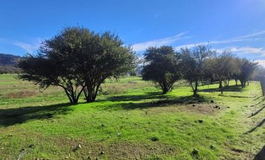 VENTA DE PARCELAS (PROYECTO LAS PIRCAS DE PINTUE) EN PAINE