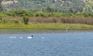Se vende excelente terreno en Brisas de Machicura ,Colbún