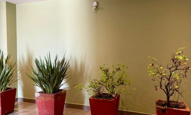 Departamento en venta forjadores zavaleta puebla