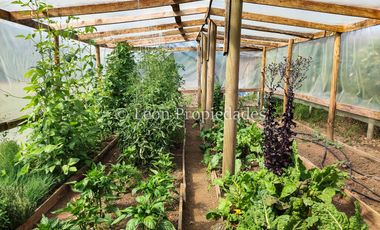 Leon Propiedades vende y arrienda con compromiso de compraventa Gran parcela con casa en condominio, Sector Alhué, Curacaví.