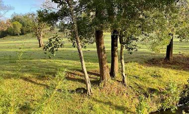 Loteo urbanizado Villarrica a Pucón