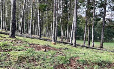 Loteo urbanizado Villarrica a Pucón