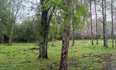 Loteo urbanizado Villarrica a Pucón